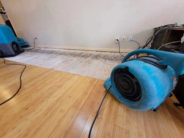 Professional Basement Flood Cleanup technician working in Livingston, NJ